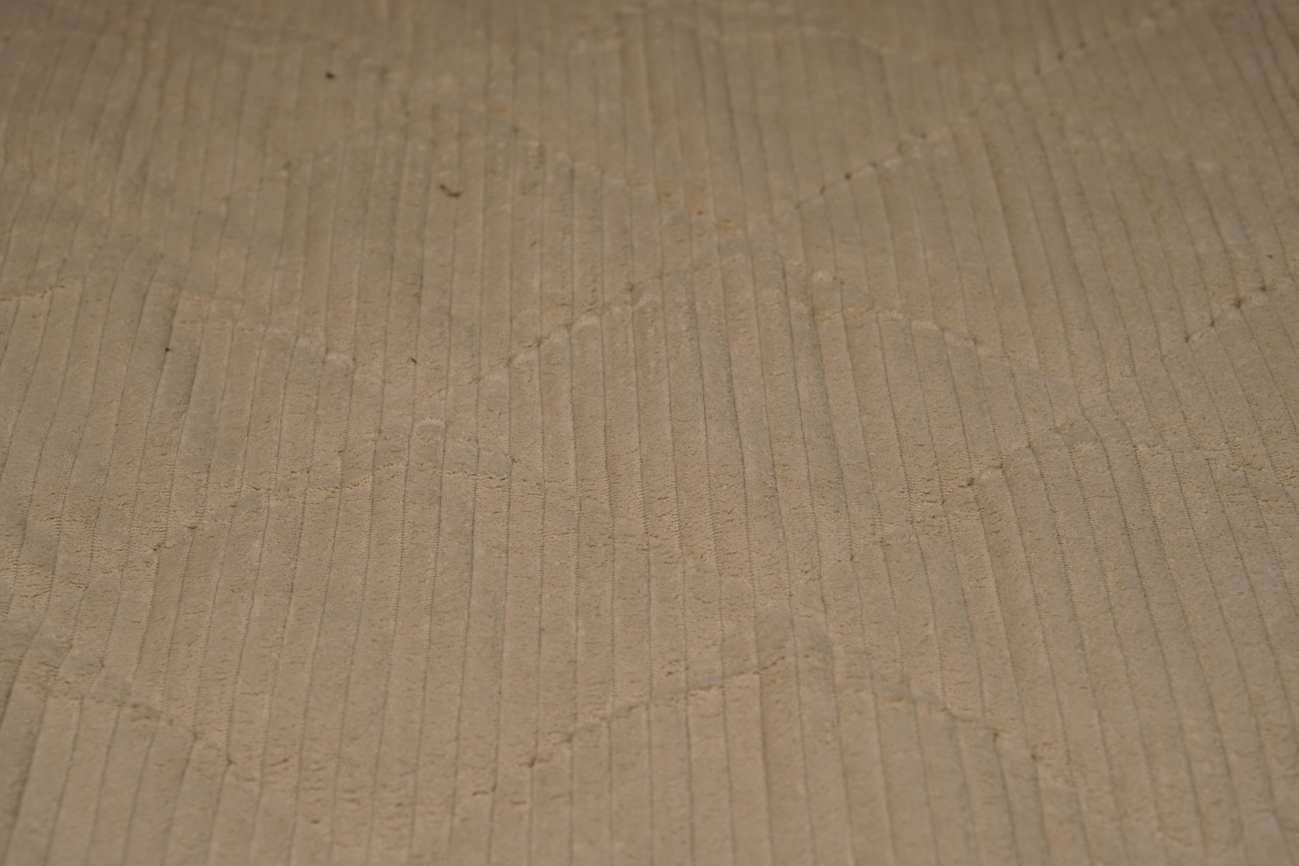 Teddy Rib Beige - Afbeelding 3